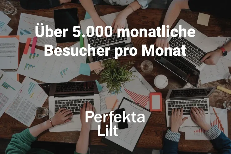 Vier Leute mit Laptops am Tisch, viele Papiere und Kaffee. Text: Über 5.000 monatliche Besucher, Perfekta Lift Case Study.